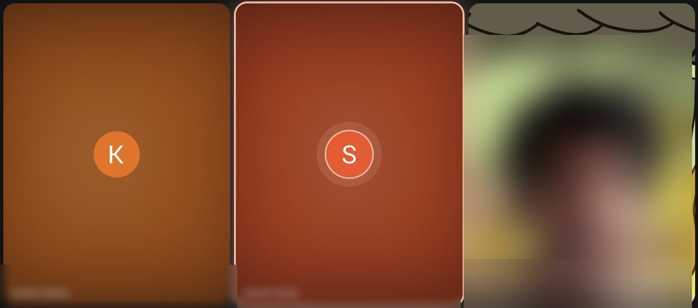 a privacy-blurred screenshot from the technical interview call